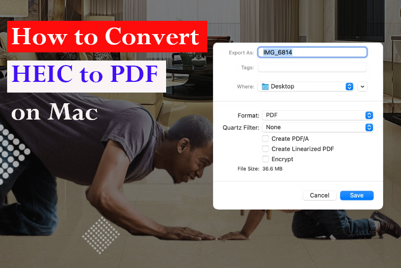 How to Convert HEIC to PDF on Mac – 3 Best Ways