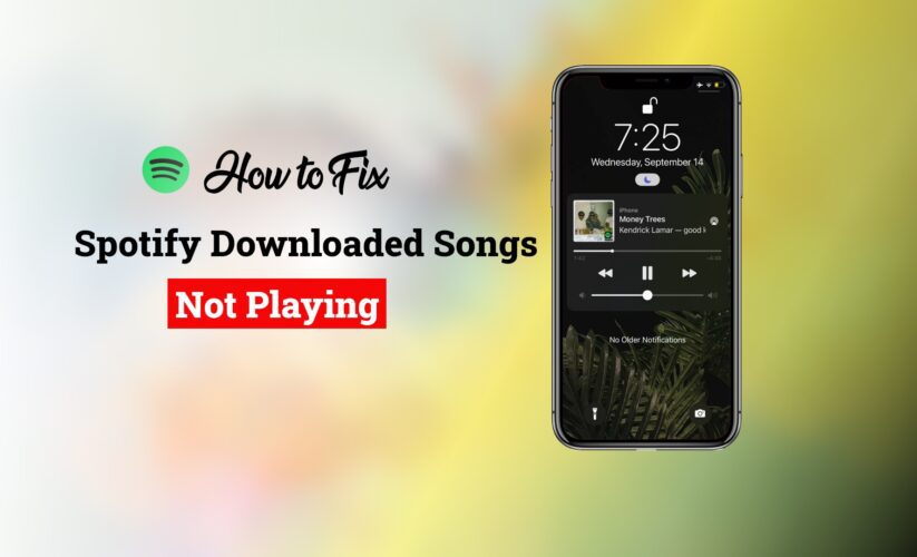 How to Fix Spotify Downloaded Songs Not Playing